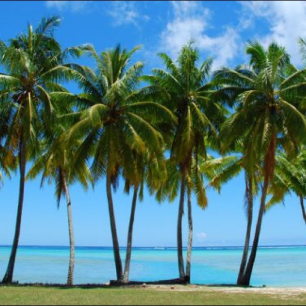 Meet your Posher, Florida